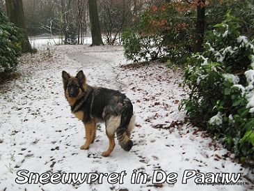 In park De Paauw genietend van de sneeuw